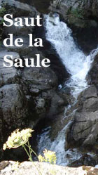 Cascade du Saut de la Saule à Bort les Orgues