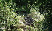 Cascade du Saut de la Saule