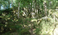 Cascade du Saut de la Saule